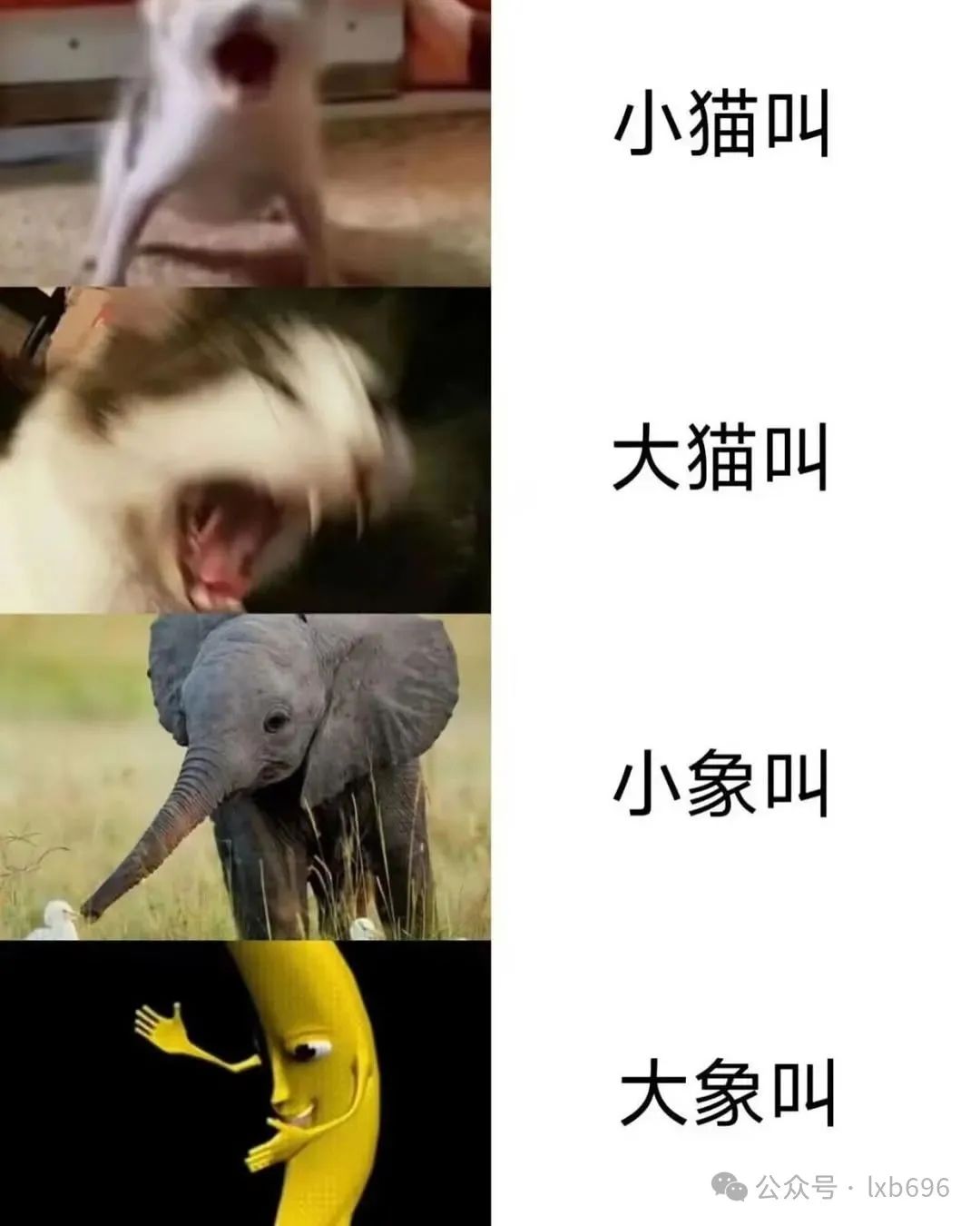 Word文档图片