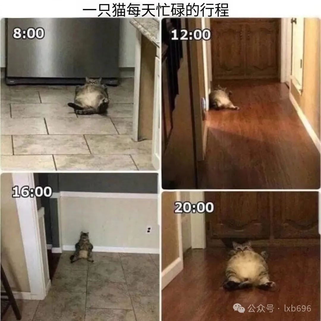 Word文档图片